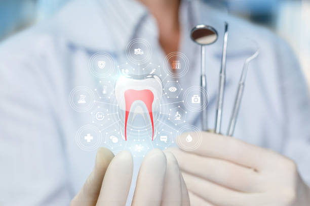 Best Preventive Dentistry  in Avondale, PA